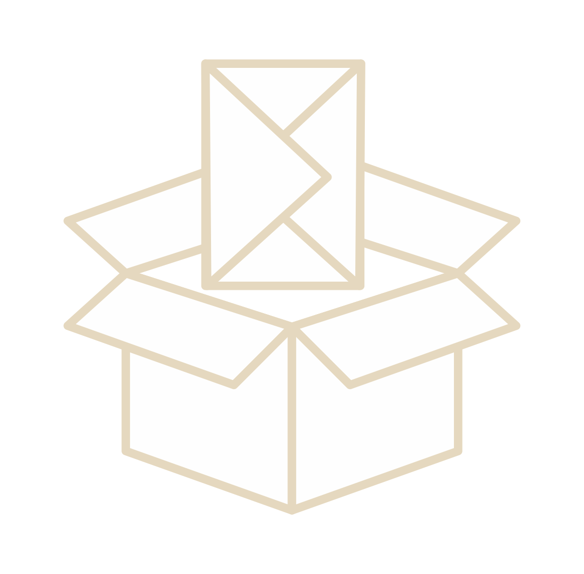 КартоннаяКоробка 250x225x320 мм