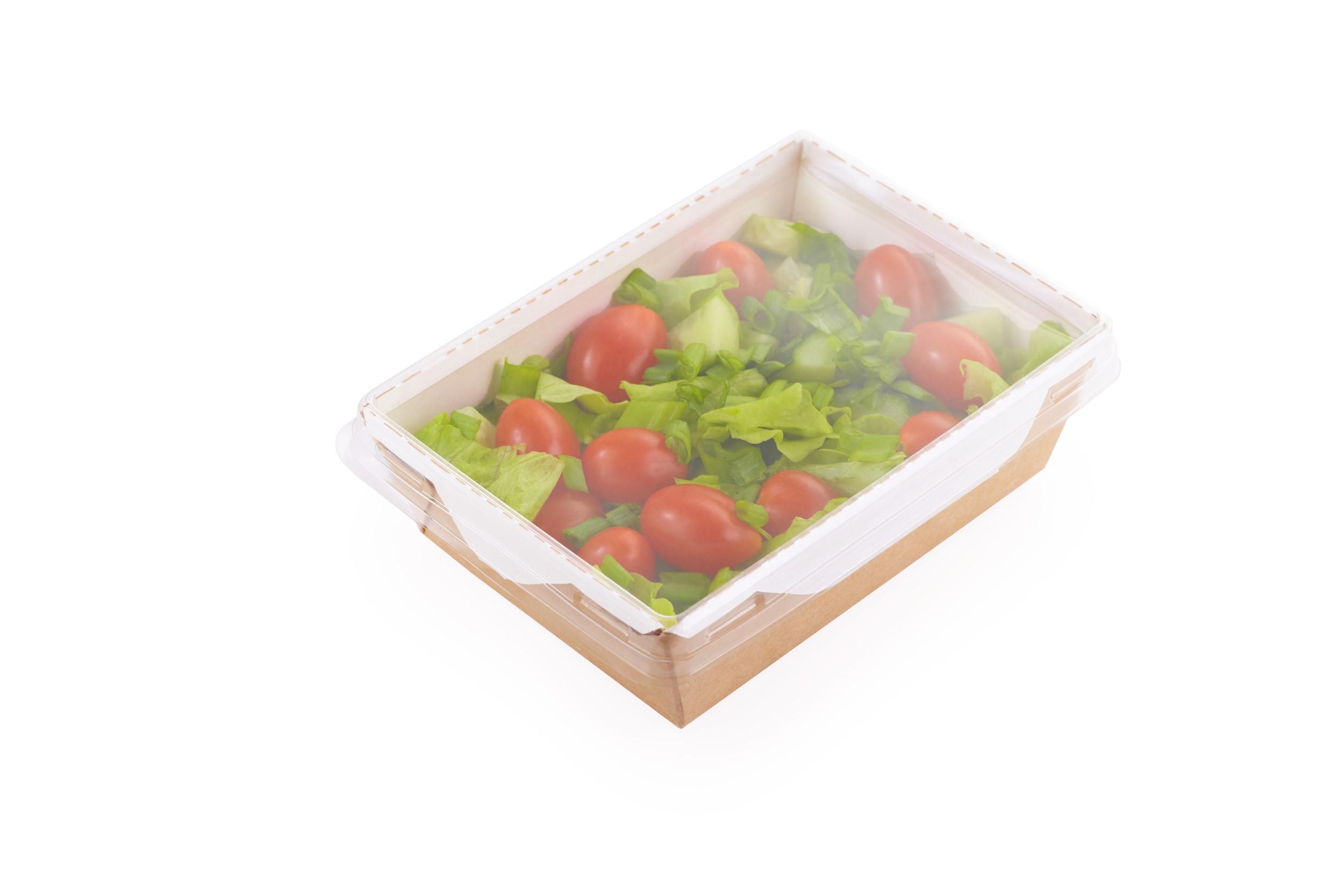 Контейнер OSQ OPSALAD 800 мл, 209х127х55 мм