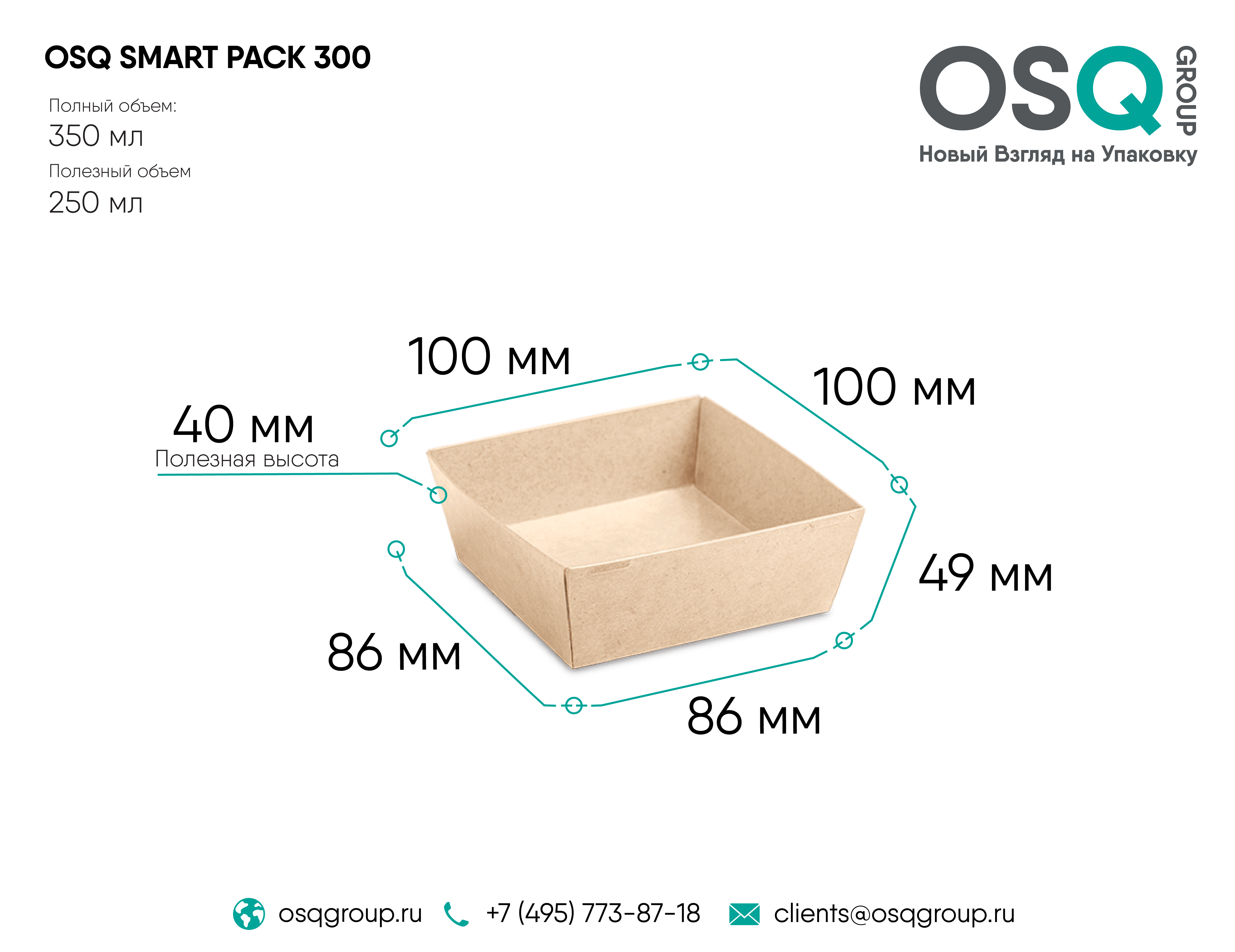 Контейнер OSQ SMARTPACK 300 мл, 100х100х49 мм