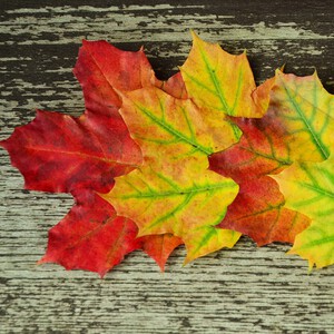 Подробнее о статье Креативные идеи упаковки подарков на День Учителя