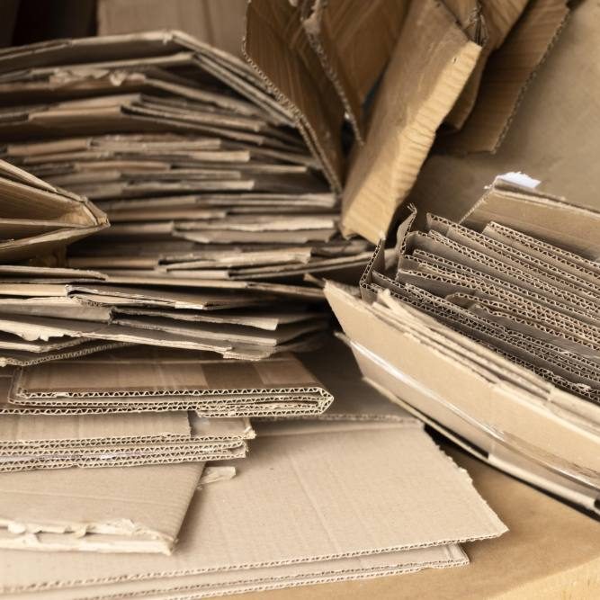 Из чего делают картон: полный цикл производства от сырья до готового листа